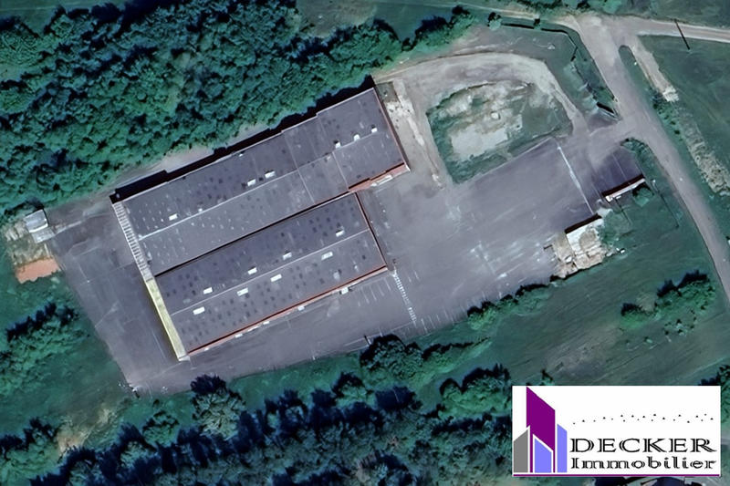 Local d'activités - 4 000 m²