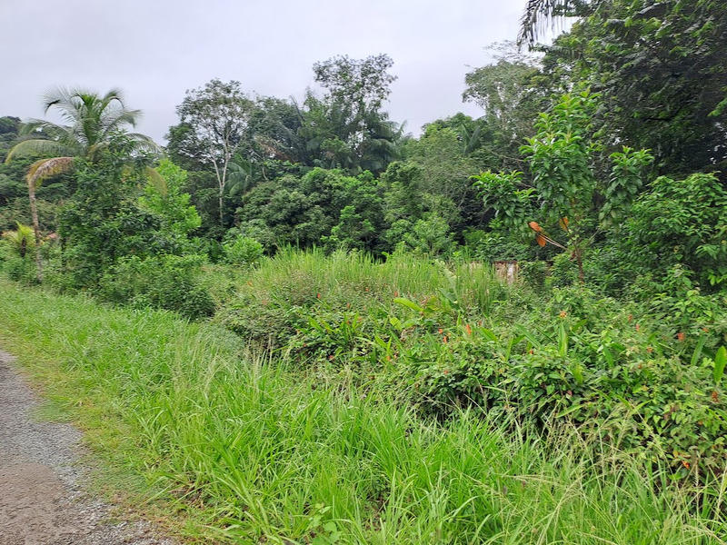 Terrain constructible - 3 444 m²