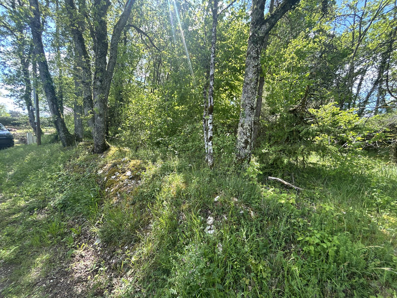 Terrain - 2 500 m²