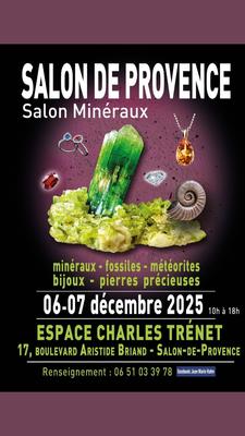 Salon Minéraux