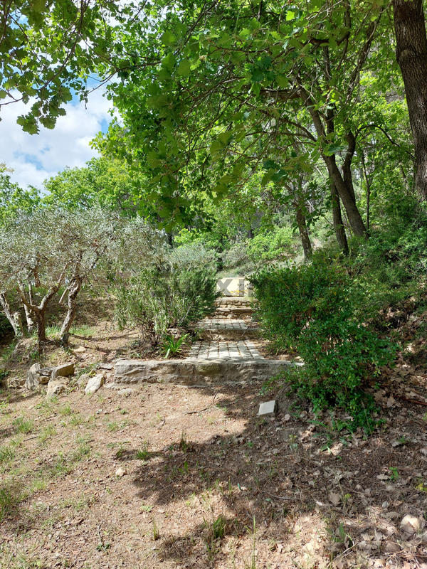 Mas - 302 m² - 11 pièces