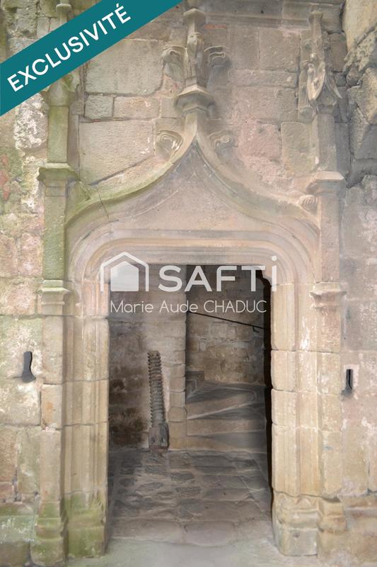 Château - 800 m² - 15 pièces