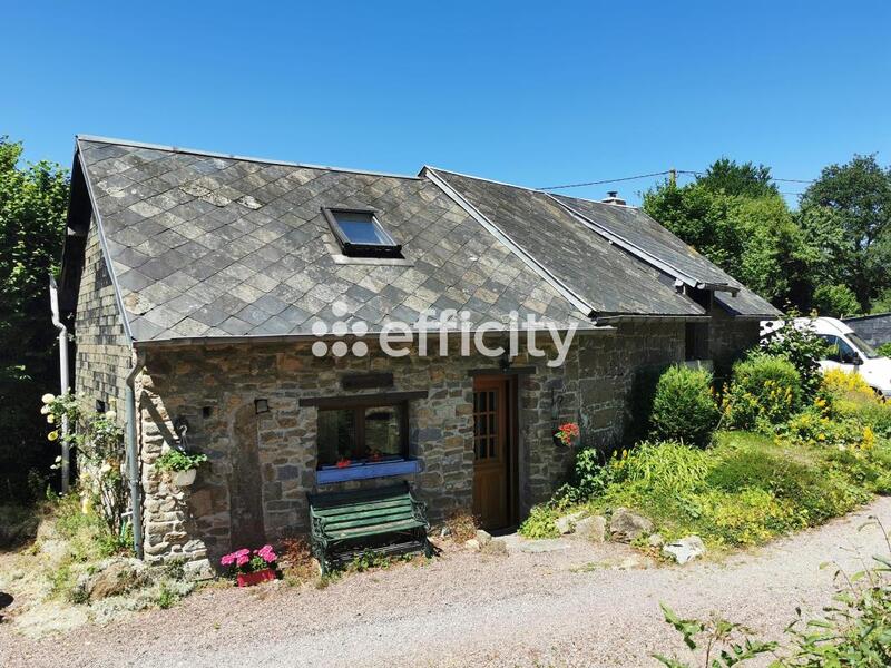 Maison en pierre - 340 m² - 14 pièces