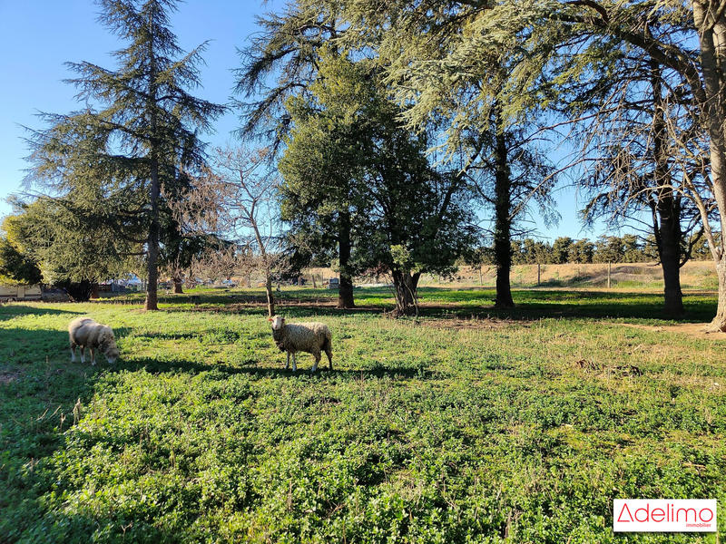 Mas - 1 582 m² - 15 pièces