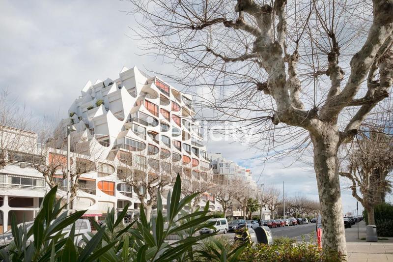 Studio - 25 m² - 1 pièce