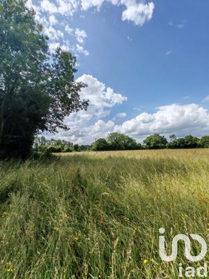 Terrain - 31 982 m²