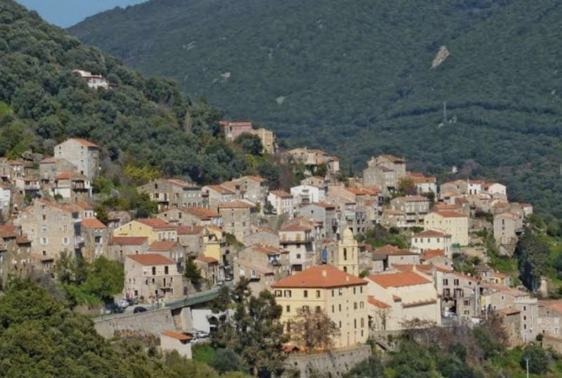 Appartement - 28 m² - 1 pièce