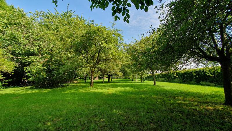 Maison de maîtres - 186 m² - 8 pièces