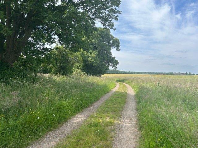 Longère - 203 m² - 6 pièces