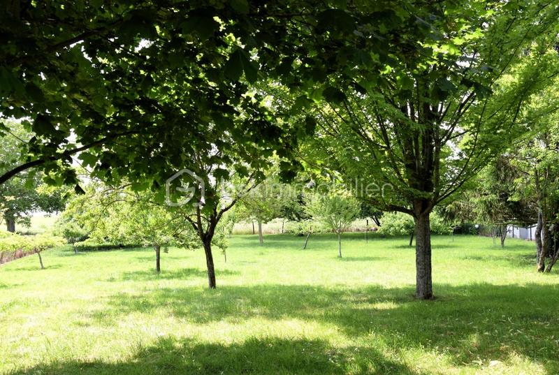 Maison en pierre - 191 m² - 5 pièces