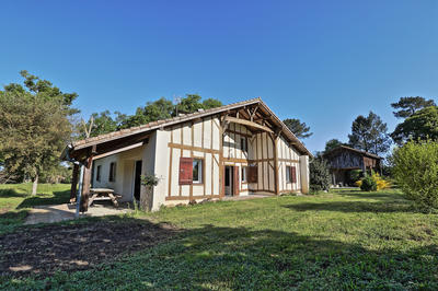 Propriété - 317 m² - 10 pièces