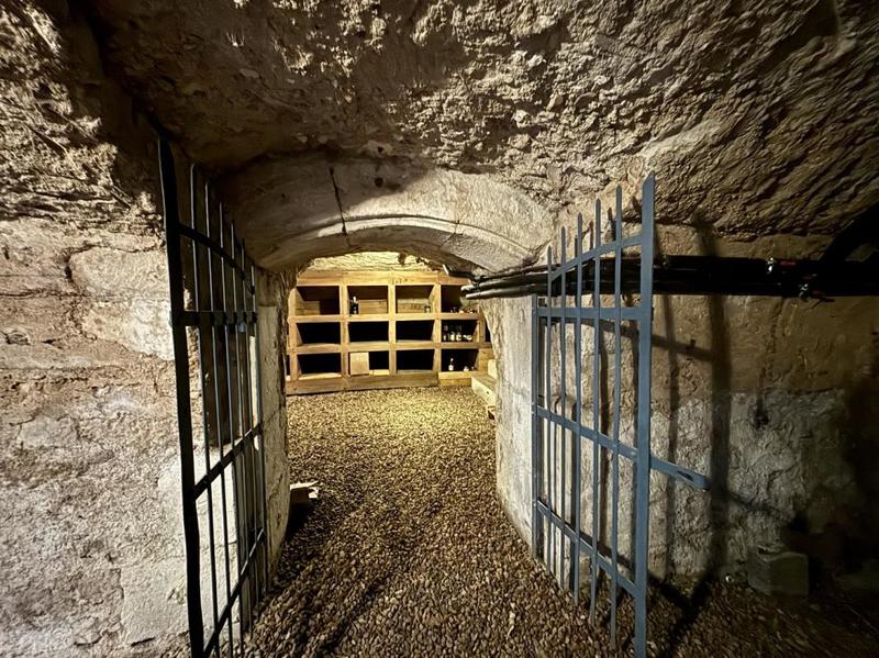 Hôtel particulier - 420 m² - 11 pièces