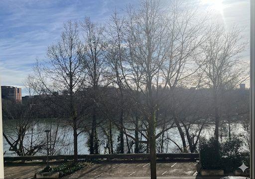 Appartement - 54 m² - 2 pièces