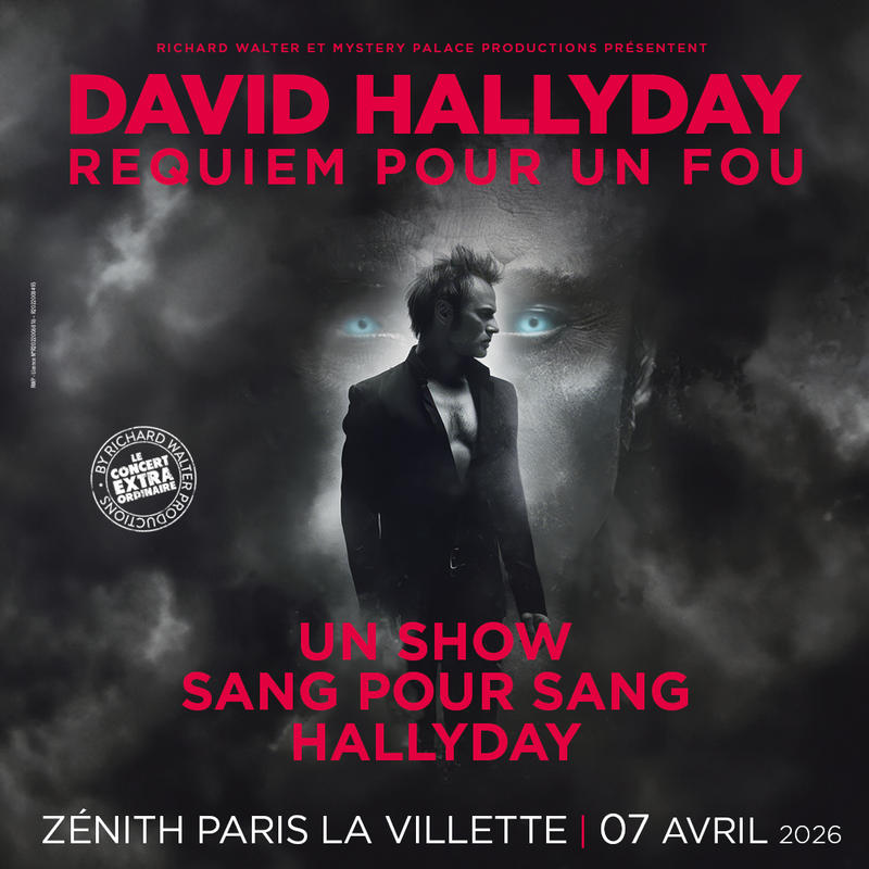 David Hallyday, Requiem pour un fou