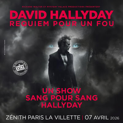 David Hallyday, Requiem pour un fou