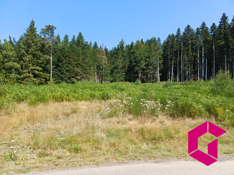 Terrain - 11 620 m²