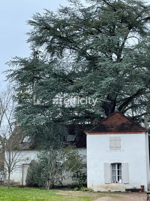 Maison bourgeoise - 306 m² - 12 pièces