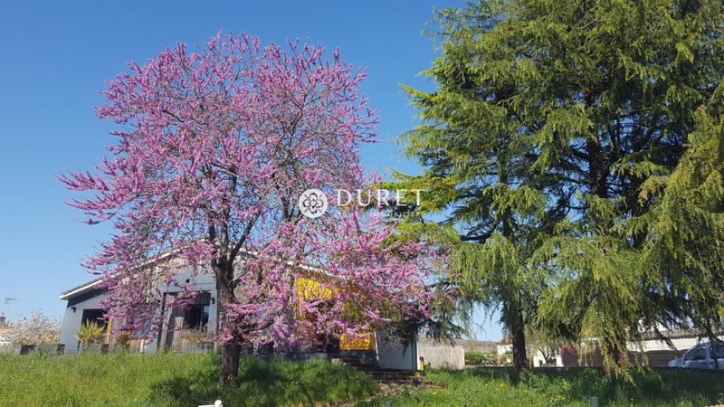 Maison - 230 m² - 6 pièces