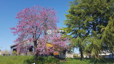 Maison - 230 m² - 6 pièces