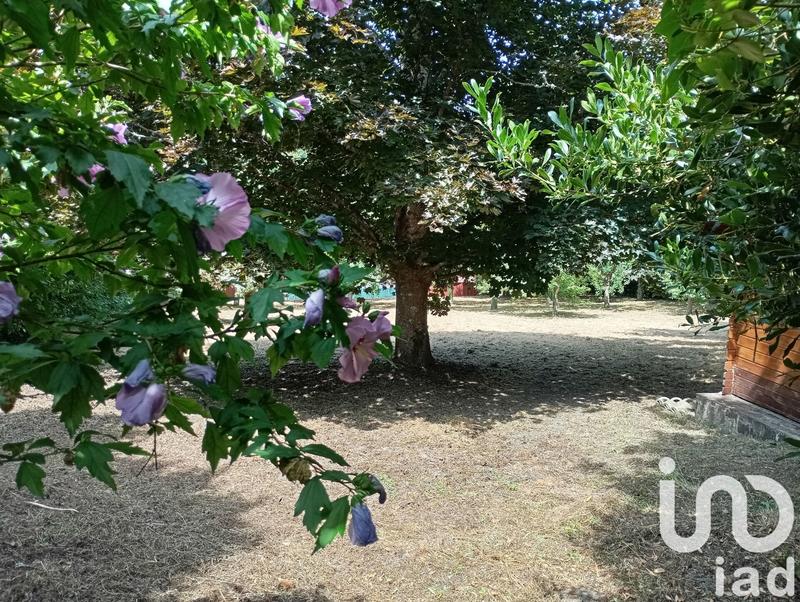 Maison de campagne - 95 m² - 5 pièces