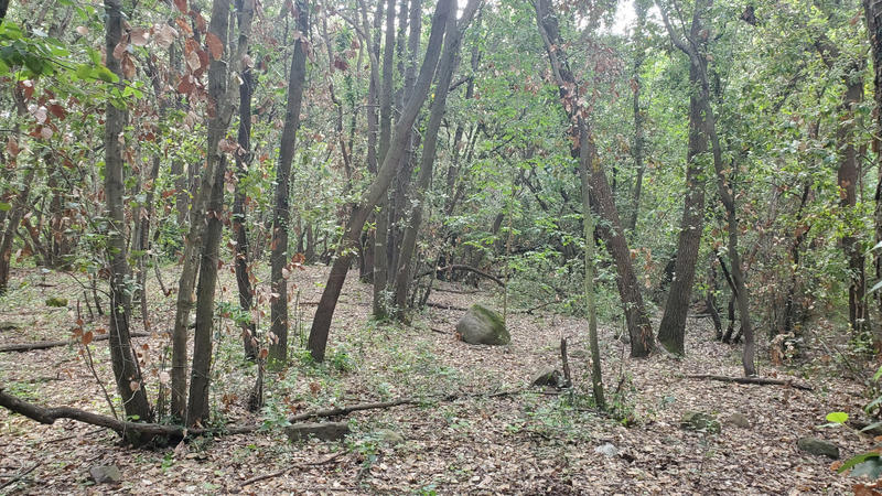 Terrain agricole - 4 390 m²