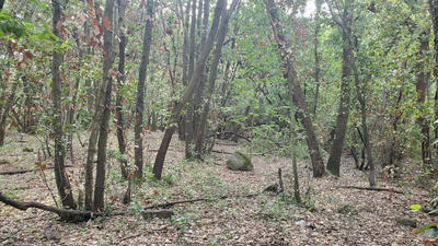 Terrain agricole - 4 390 m²