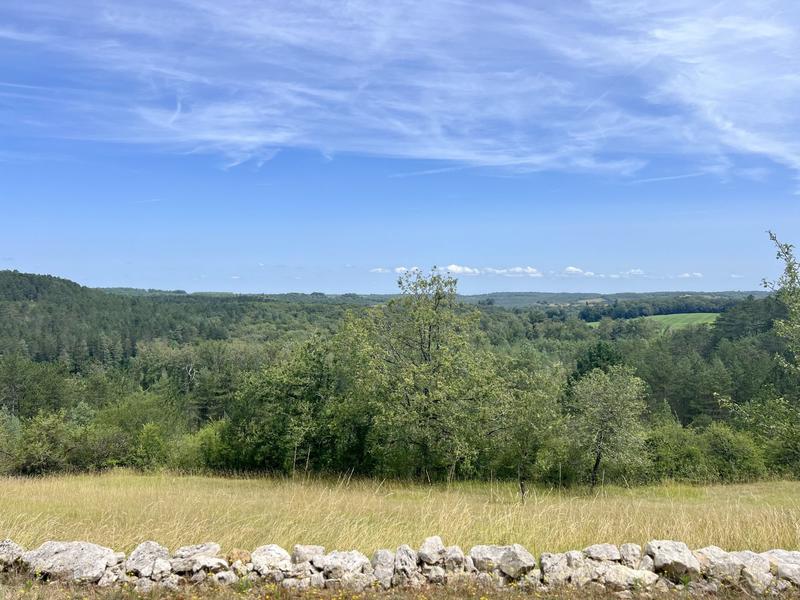 Appartement - 155 m² - 5 pièces