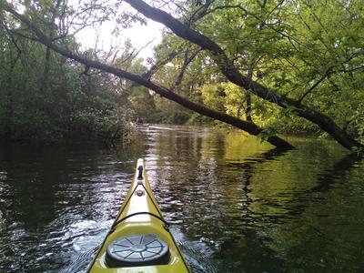 Sortie en kayak de mer - Découverte du delta de l'Eyre et du Bassin d'Arcachon