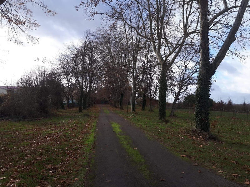 Propriété - 1 000 m² - 14 pièces