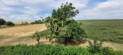 Maison - 116 m² - 5 pièces