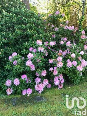 Maison - 141 m² - 5 pièces