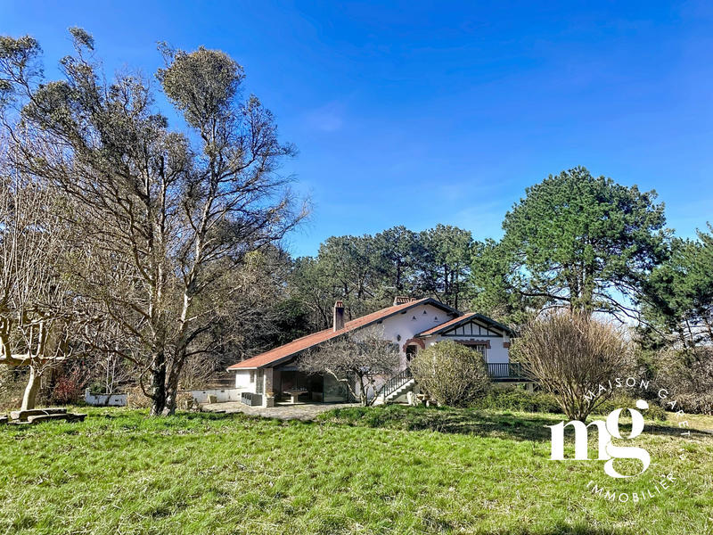 Maison ancienne - 270 m² - 9 pièces