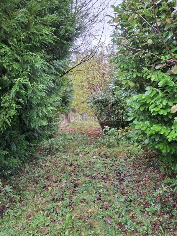 Maison ancienne - 115 m² - 6 pièces