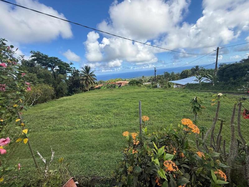 Terrain constructible - 1 389 m²