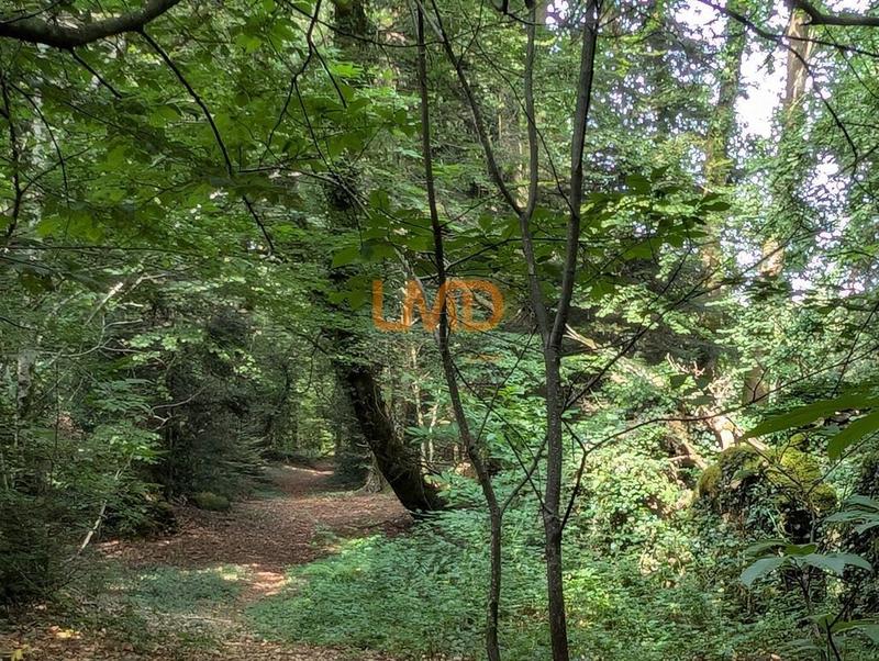 Maison en pierre - 60 m² - 2 pièces