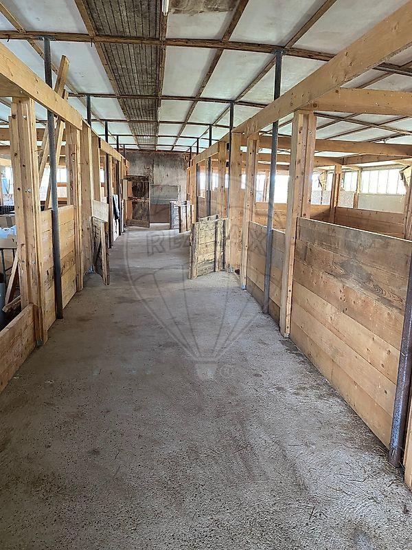 Ferme - 248 m² - 9 pièces