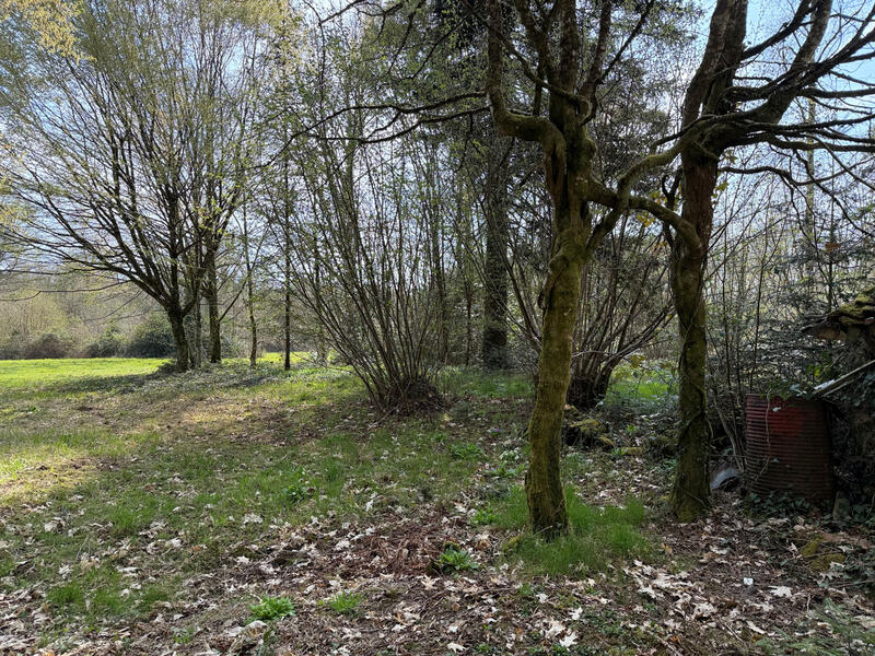 Maison - 70 m² - 3 pièces