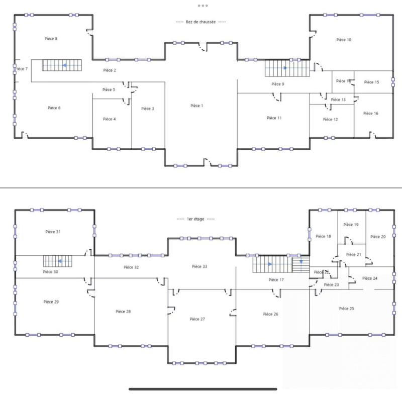 Château - 1 300 m² - 35 pièces