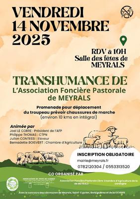 Transhumance à Meyrals