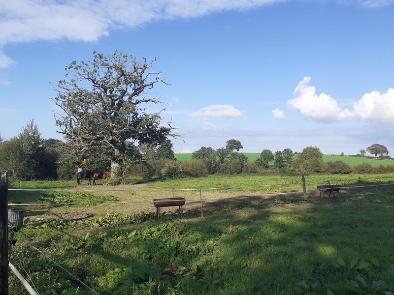 Maison - 200 m² - 6 pièces