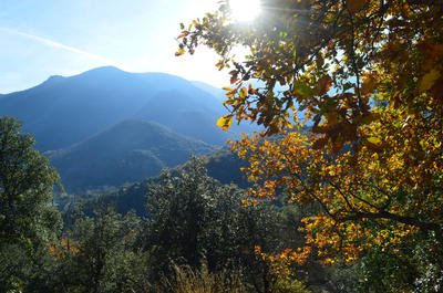 Terrain - 18 305 m²