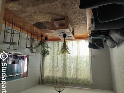 Chambre - 12 m² - 1 pièce