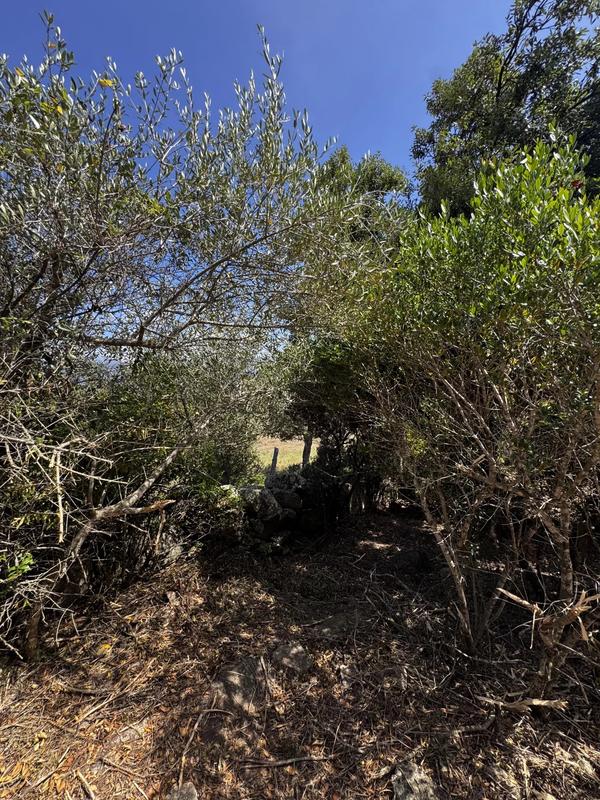 Terrain constructible - 1 490 m²