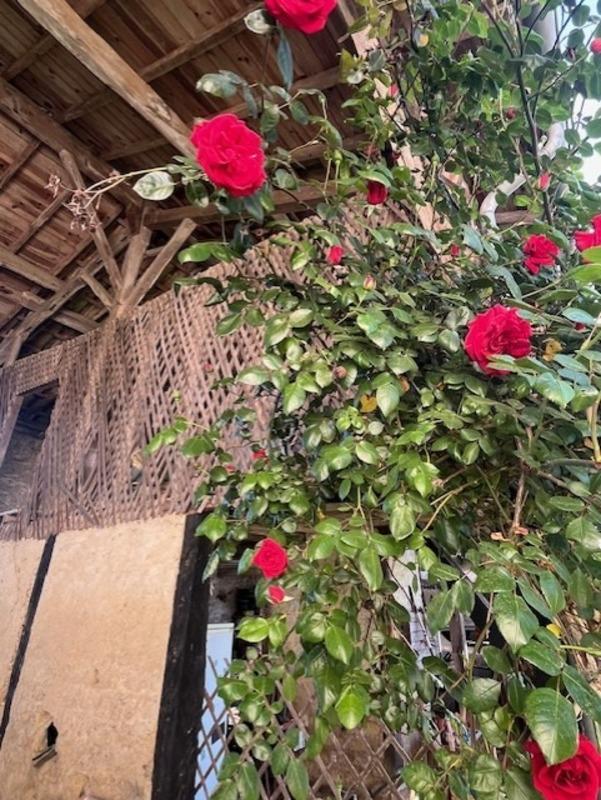 Propriété - 220 m² - 7 pièces