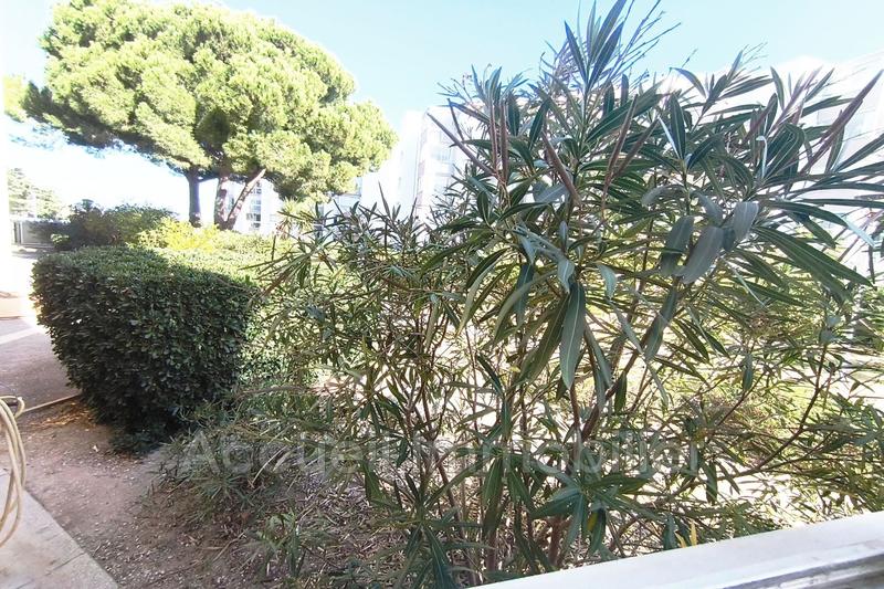 Appartement - 24 m² - 1 pièce