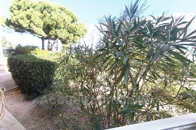 Appartement - 24 m² - 1 pièce