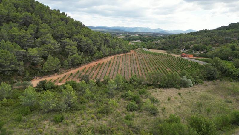 Demeure - 225 m² - 7 pièces