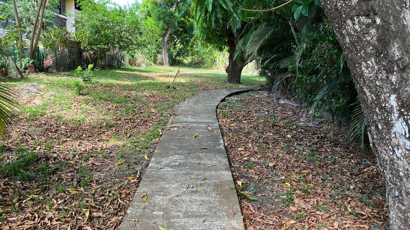 Appartement bourgeois - 48 m² - 2 pièces