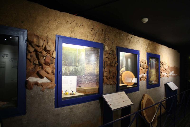 Visite commentée de la section Préhistoire