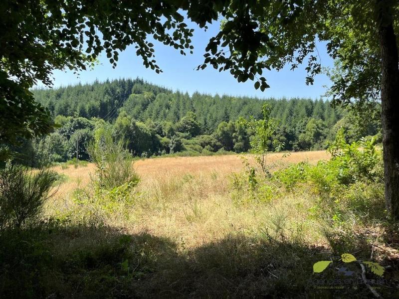 Propriété - 162 m² - 8 pièces